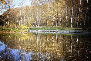 Более четырех миллиардов рублей выделят на обновление парка Сокольники