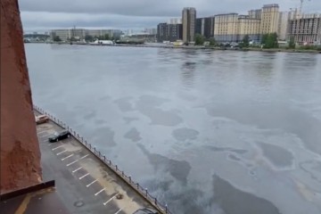 Росприроднадзор сообщил о неработающих очистных сооружениях на реках и каналах Петербурга