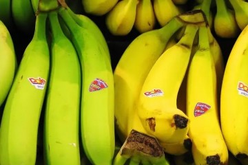 Зеленые бананы снижают риск некоторых видов рака более чем на 60%