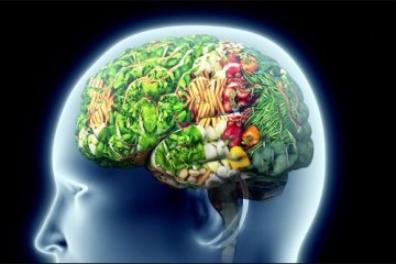 Наш мозг имеет область со специализированными нейронами для распознавания пищи