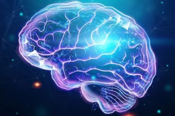 Ученые определили, что позитивные ожидания делают тренировку мозга и памяти более успешной