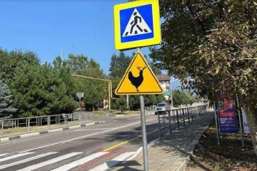 В Сочи появился новый дорожный знак «Рогатая курица»