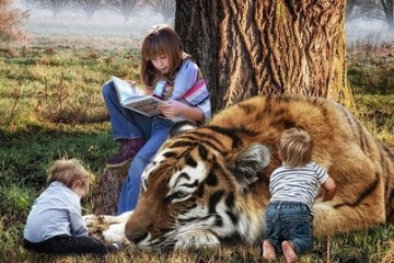 В Приморье появился новый школьный предмет «Тигроведение»