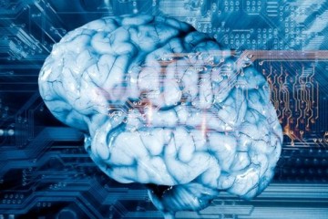 Ученые выяснили, по каким признакам искусственный интеллект определяет биологический возраст мозга