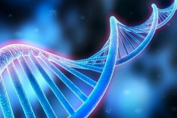 Исследователи раскрыли генетические факторы, влияющие на увеличение роста человека