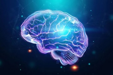 Ученые раскрыли, что мозг по-разному обрабатывает звуки при бодрствовании и под анестезией