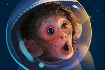 На китайской космической станции будут спариваться обезьяны, сообщает исследователь