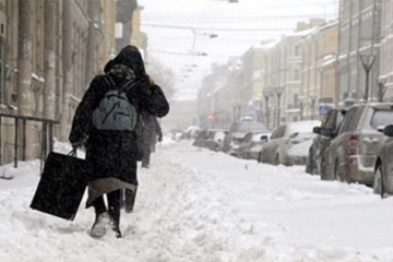 В Смольном не смогли своевременно ликвидировать последствия снегопада в воскресенье