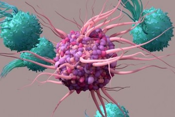 Ученые выяснили, что время суток влияет на рост опухоли и эффект иммунотерапии против рака