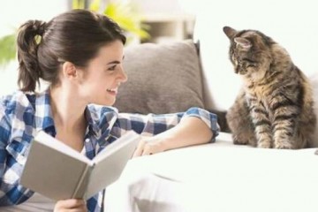 Этологи определили, что кошки распознают направленную именно им речь своих хозяев