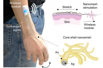 На смену тачскринам приходит сверхтонкая умная электронная кожа с ИИ