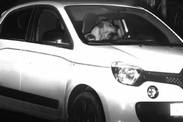 Немецкая камера запечатлела собаку, ехавшую за рулем со скоростью 61 км/ч