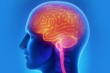 Ученые обнаружили у одиноких пожилых людей снижение серого вещества мозга и ухудшение памяти