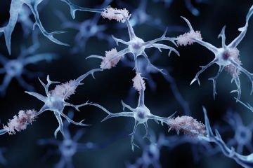 Новый препарат донанемаб замедляет прогрессирование болезни Альцгеймера