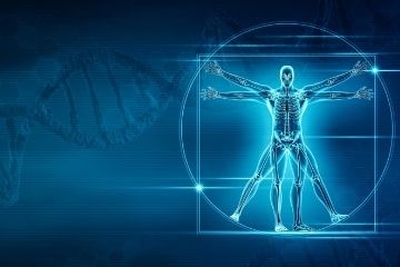 Ученые определили, каким генам мы обязаны прямохождением и уникальными пропорциями тела