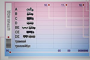 В России началась выдача водительских удостоверений нового образца