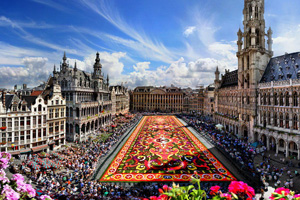 Главную площадь Брюсселя украсил ковер из сотен тысяч живых цветов
