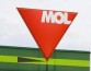 Венгерская MOL продала томскую нефтяную компанию инвесторам из РФ
