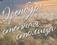 В Оренбурге презентовали уникальный перинатальный центр