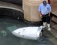 В Вашингтоне патрульный робот утопился в фонтане