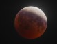7 августа над Россией взойдет кроваво-красная Луна