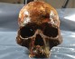 В шведском озере найдена каменная платформа с человеческими черепами