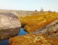 После взрыва под Северодвинском карельская растительность истлела без огня