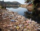 Одноразовый пластик составил почти 100% прибрежного мусора в РФ