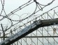 Северокореец бежал в Южную Корею через 3-метровый забор, его попросили повторить