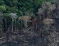 Экологичная ткань разрушает тропический лес