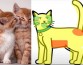 Ученые определили, в каких местах можно гладить кошек и кто справляется с этим лучше