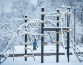 "Детская площадка не расчищена от снега": петербуржцы возмущены отношением властей к детям