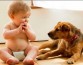 Ученые подтвердили гипотезу, что малыши выбирают помощь собакам не спонтанно, а осознанно