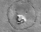 На Марсе нашли изображение медвежонка Паддингтона