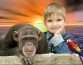 Ученые выяснили, кто любопытнее: люди или человекообразные обезьяны