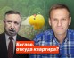 Публицист Смоляк сравнил поздравления экстремиста Навального* в Петербурге с сонмом Беглову